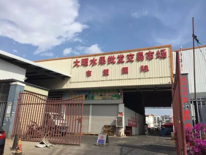大理商贸公司：市场洞察与发展策略