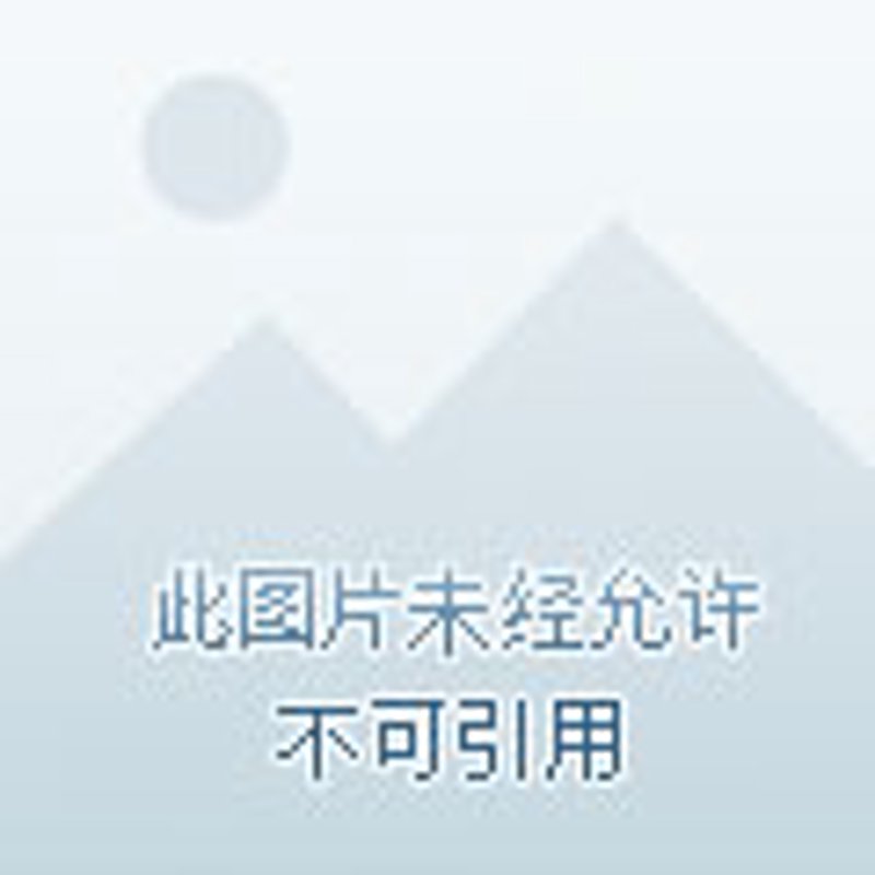 大理食品批发市场的最新趋势与前景