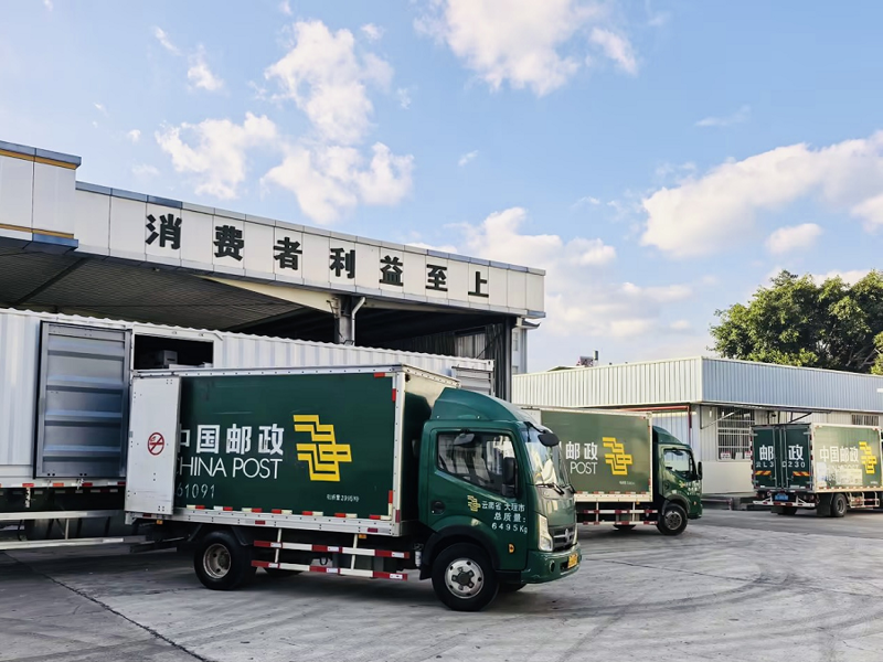 大理批发商：探索市场的脉动